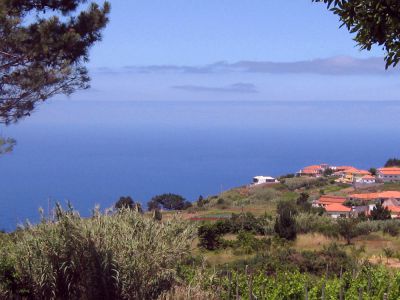 Ferienhaus Madeira in ländlicher Umgebung bei Prazeres