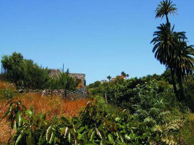 G-137 Finca Gran Canaria Garten am Haus