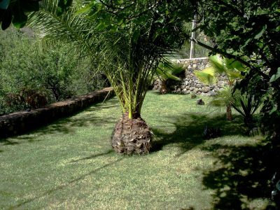 La Palma Finca mit Garten P-186