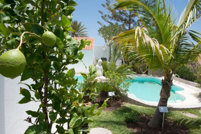 Private Villa Maspalomas G-094 Pool mit Garten