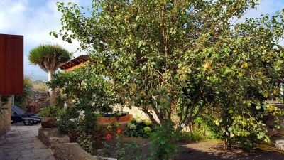 G-250 Gran Canaria Finca mit Jacuzzi und schönm Garten
