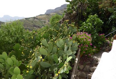 Gran Canaria Finca zum Wandern - Terrasse
