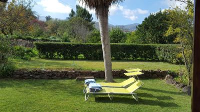 Gran Canaria - Garten mit Sonnenliegen Biologische Finca G-235