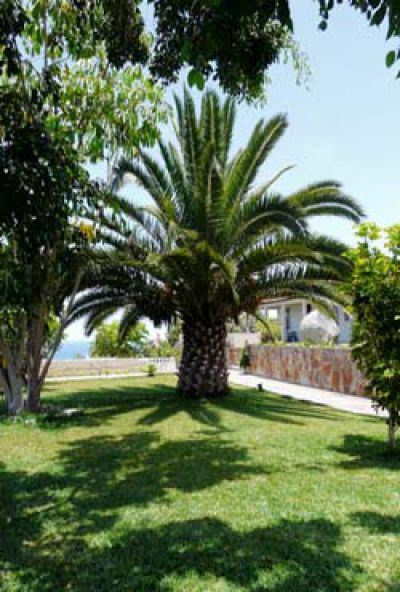 Kleines Landhotel in ruhiger Lage Teneriffa