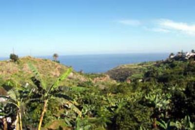 Aussicht Fewo auf Finca Teneriffa