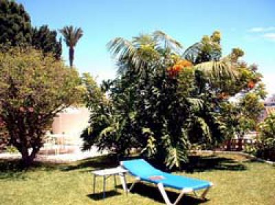 Teneriffa Ferienhaus TFN-070 Liegewiese