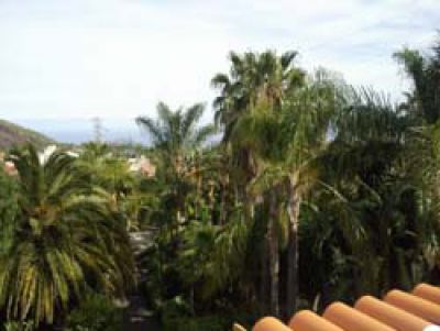 Schöne Ferienwohnung auf Palmenfinca auf Teneriffa