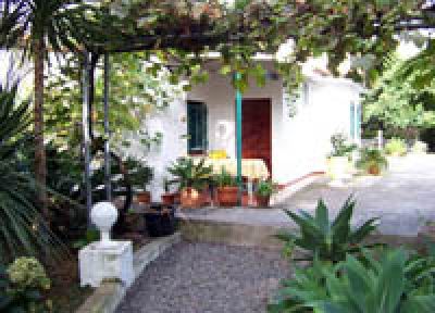 Ferienhaus für zwei Familien auf Palmenfinca Teneriffa