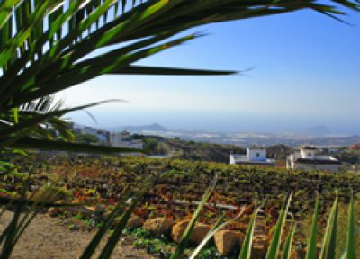 Ausblick von der Finca