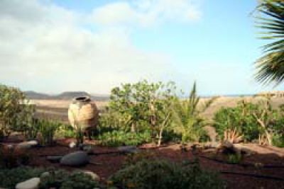 Fuerteventura Ferienhaus in La Pared F-141 Ausblick