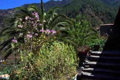 La Gomera Ferienhaus GO-100 Treppe zum Haus