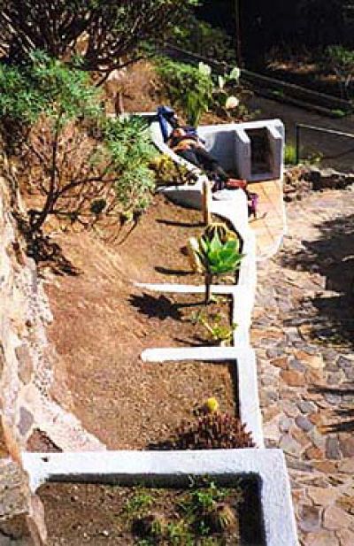 Ferienhaus La Gomera GO-130 Blick auf den Garten
