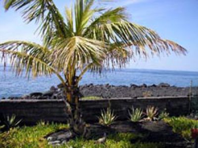 Ferienhaus La Palma P-025 Palme und Meerblick