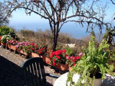 Ferienhaus auf La Palma in idyllischer Lage