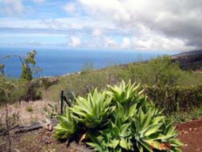 Casa Rural La Palma mit Meerblick