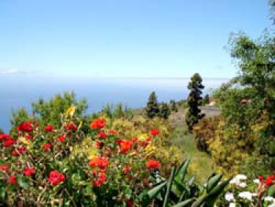 Gemütliche Finca La Palma