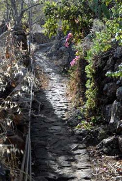 Gartenweg Finca La Palma