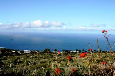 La Palma Finca P - 055 Meerblick