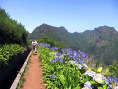 Ferienwohnung Madeira MAD-122 Blumen