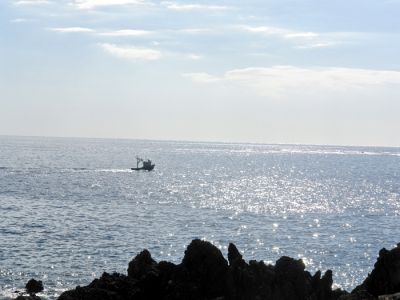 Ferienhaus direkt am Meer Teneriffa