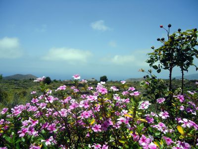 Der Ausblick vom Ferienhaus