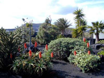 Garten vor dem Ferienhaus