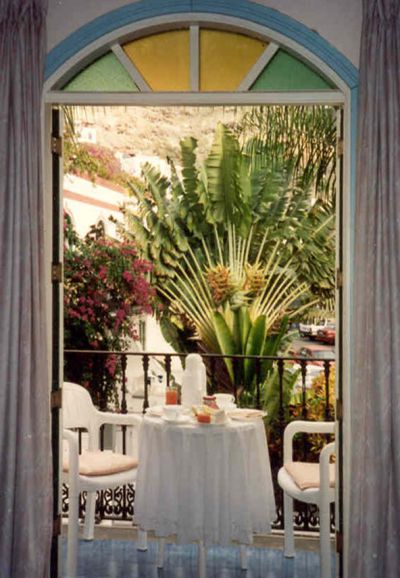 Blick vom Balkon der Ferienwohnung