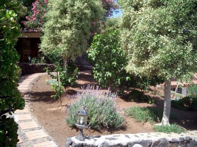 Der Garten der Finca in El Sauzal