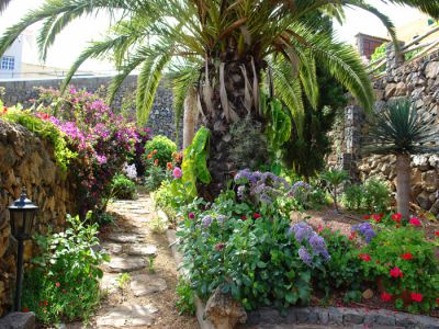 Garten Stilvolles Ferienhaus Teneriffa