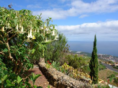 Panoramablick Stilvolles Ferienhaus Teneriffa