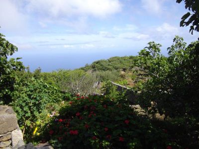 Ferienhaus El Hierro - landestypisch