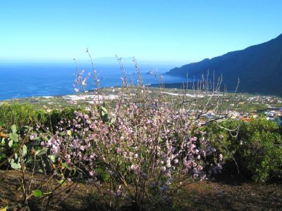 Finca El Hierro