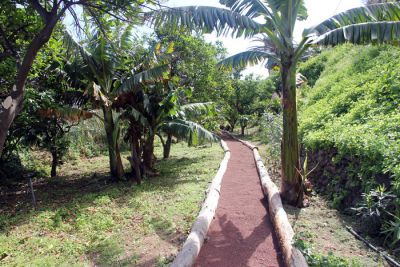 Meerblick Finca Teneriffa