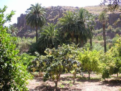 Finca Gran Canaria für Naturliebhaber