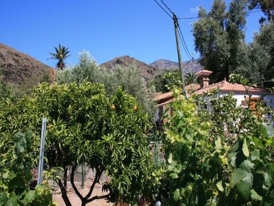 Finca Gran Canaria für Naturliebhaber