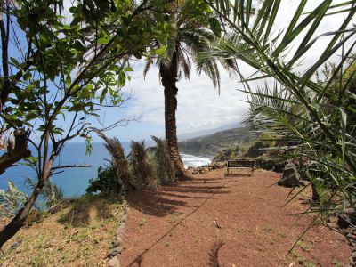 Finca Teneriffa TFN-137 Meerblick