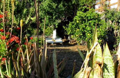 Schöner Garten der Finca auf La Gomera