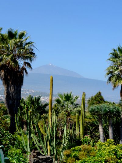 Teneriffa Ferienhaus TFN-052 Terrasse mit Teideblick