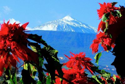 Privates Ferienhaus Teneriffa Teide TFN - 062