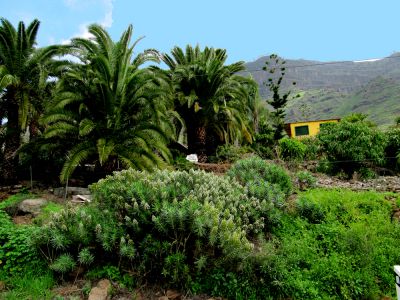 Finca Gran Canaria bei Puerto de Mogan für Wanderer