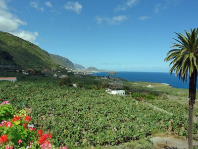 Teneriffa kleine Finca TFN-162 Ausblick