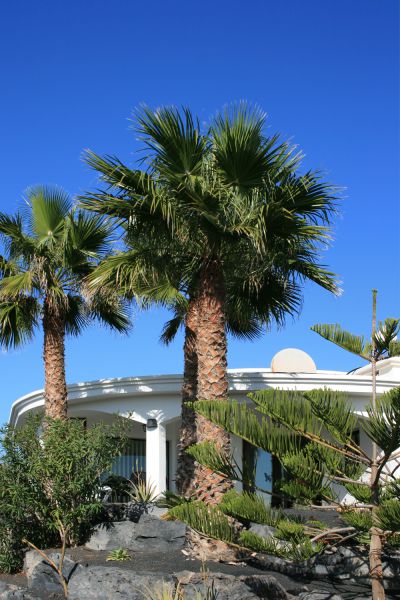 Lanzarote Villa mit Pool L-171 Hausansicht