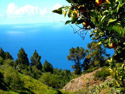 La Palma Finca P-190 Meerblick