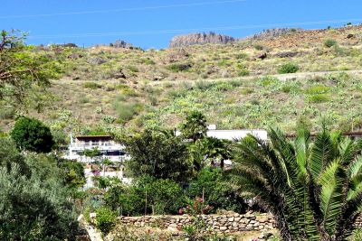 Gran Canaria Finca G-135 mit Pool