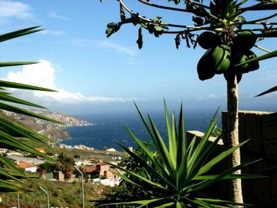 Teneriffa Finca TFS-197 Meerblick