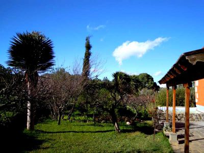 Gran Canaria Finca G-235 Blick in den Garten