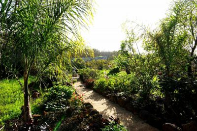 La Palma Ferienhaus P - 208 in der Natur