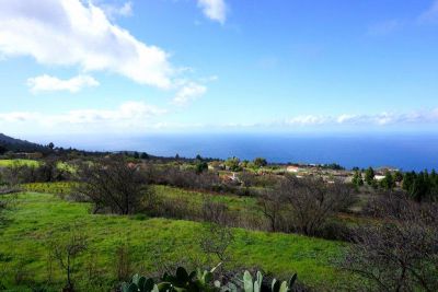 La Palma Ferienhaus P - 208 Gruene Landschaft