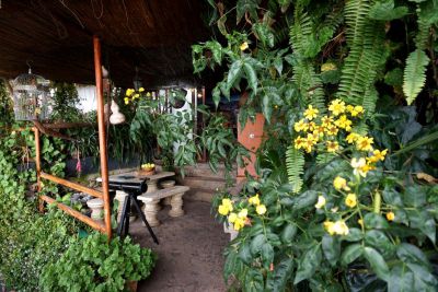 La Palma Finca P-184 Sternenteleskop