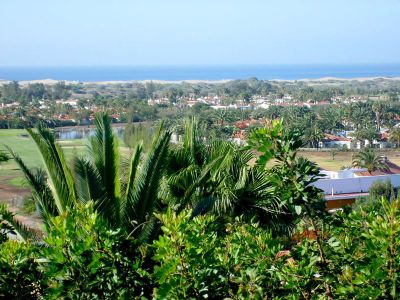 Gran Canaria Ferienwohnung G-085 Natur